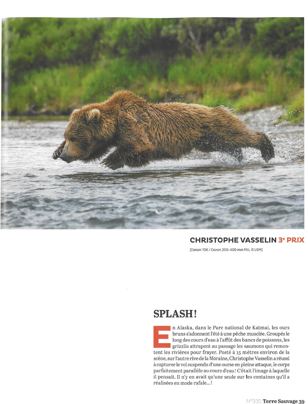 Splash, a grizzly bear diving across the water, Nature Images Awards 2016