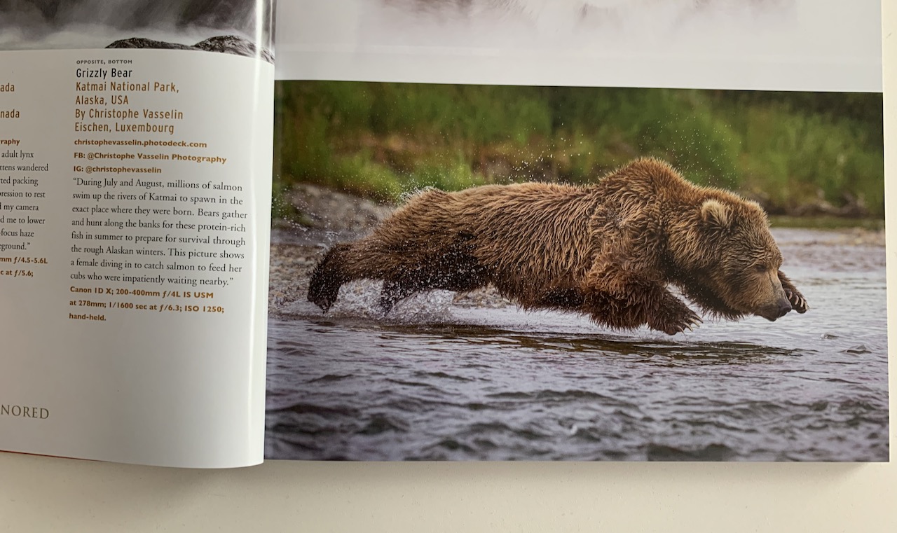 Grizzly bear featured in the Nature's Best Photography awards book