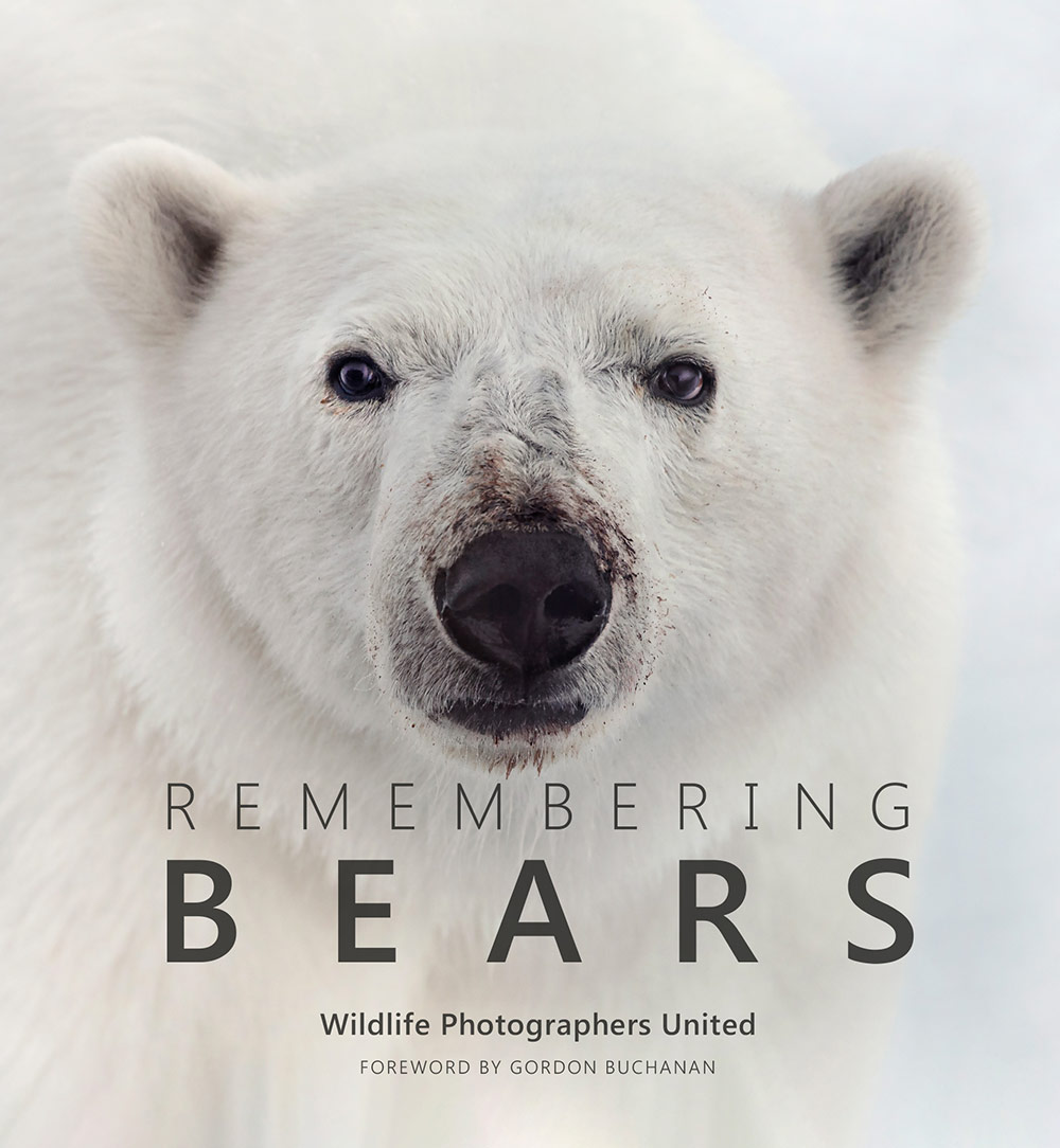 Remembering Bears book cover