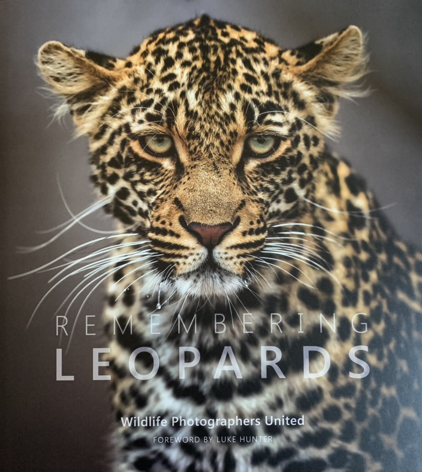 Remembering Leopards book cover