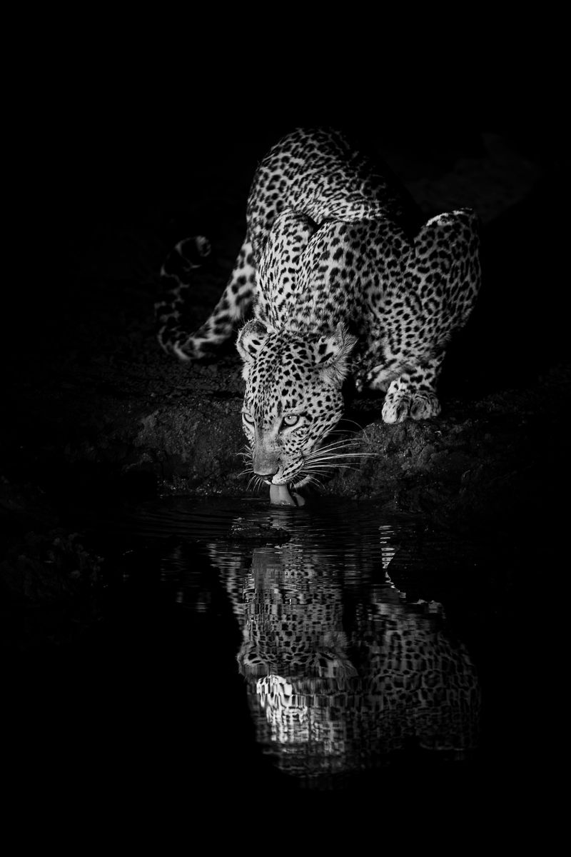 Reflection