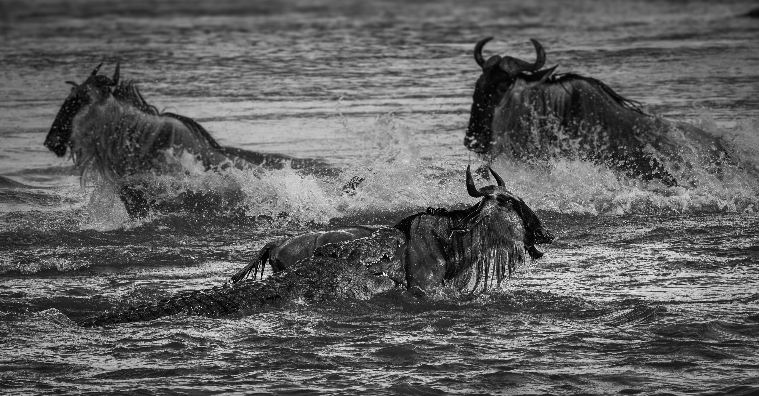 Through the water