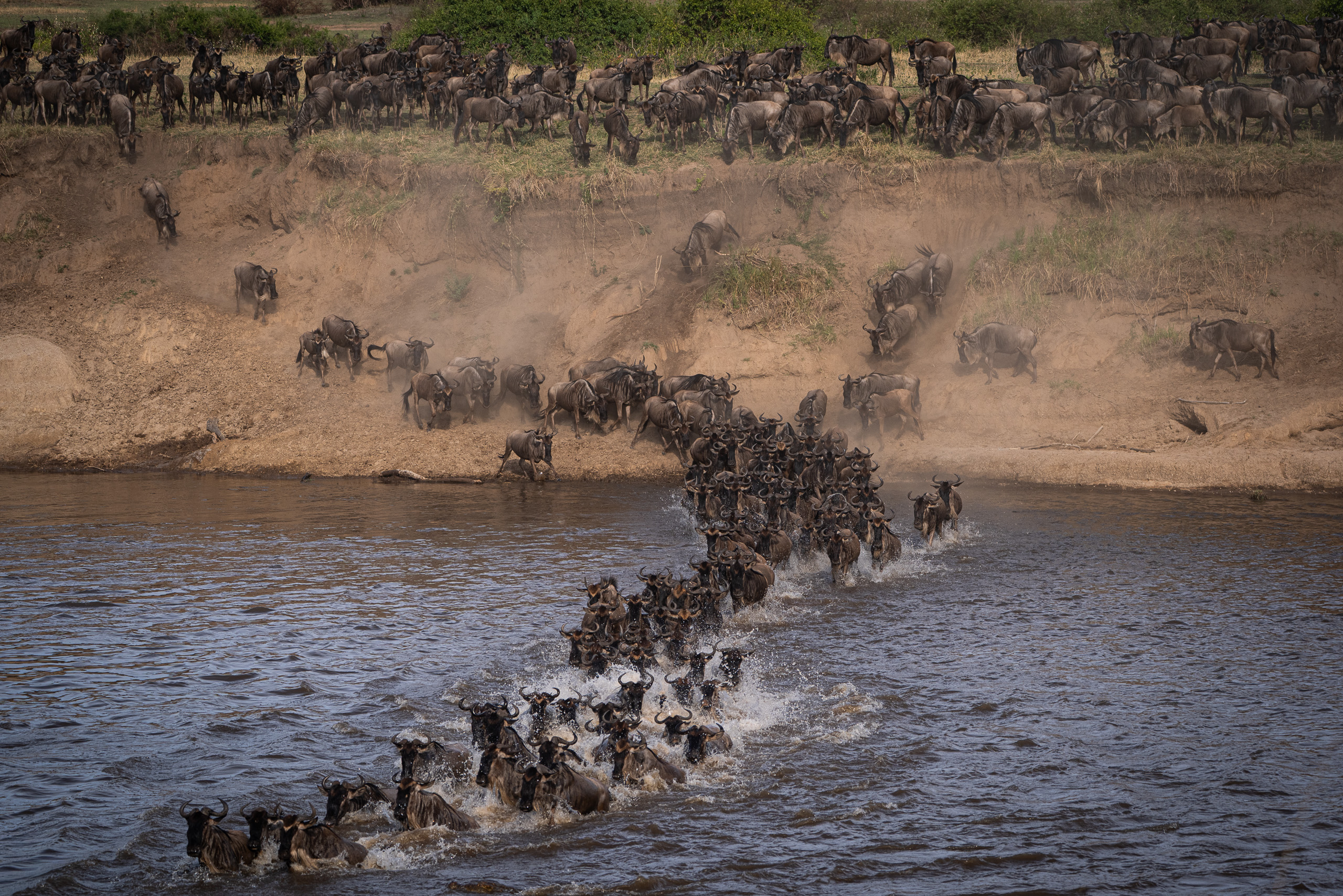 The crossing