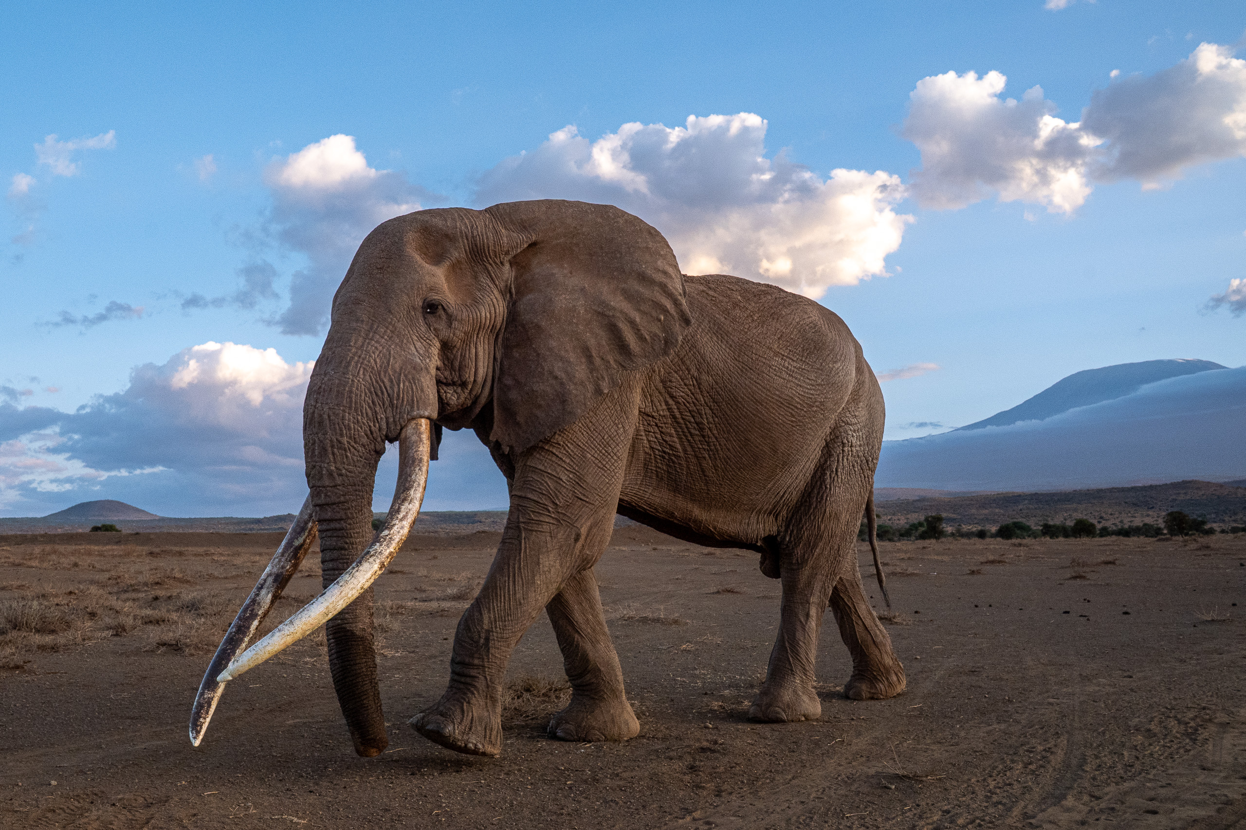 Craig in Amboseli